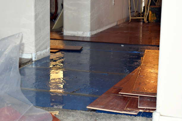 Professional Sewage Cleanup technician working in Lafayette, MN